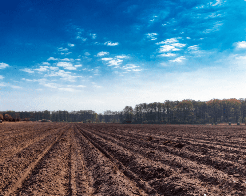 Protecting Soil