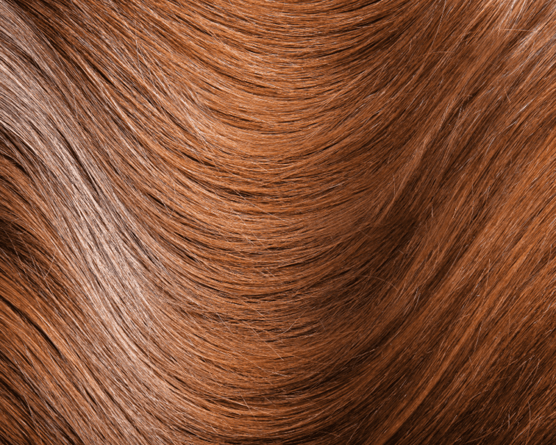 Autumnal Auburn Hair Colour