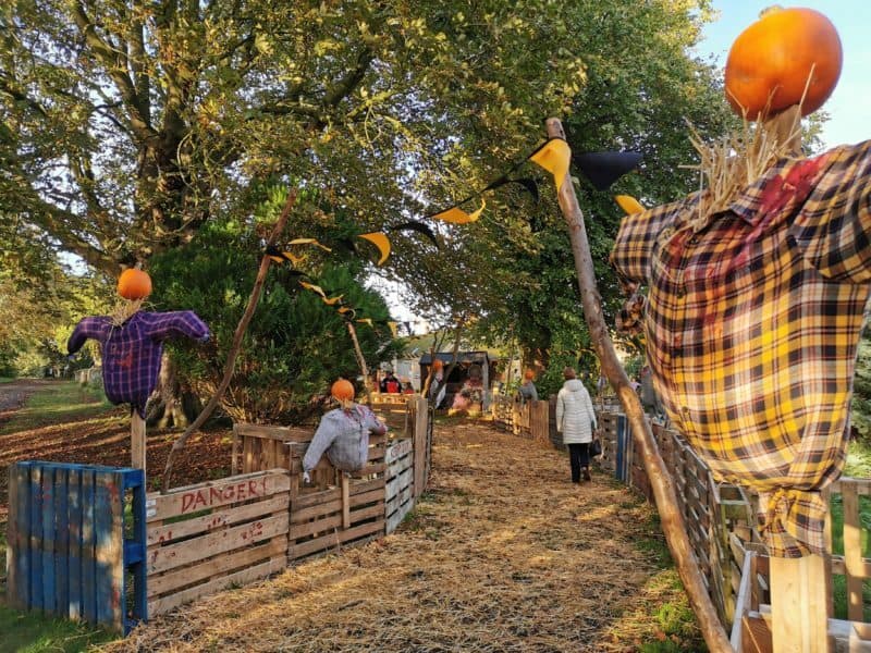 Sacrewell Farm Pumpkin Picking