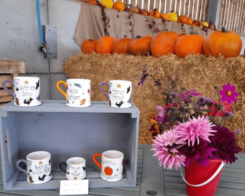 Where to Go Pumpkin Picking near Peterborough 1