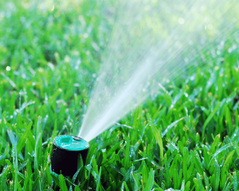 Smart watering