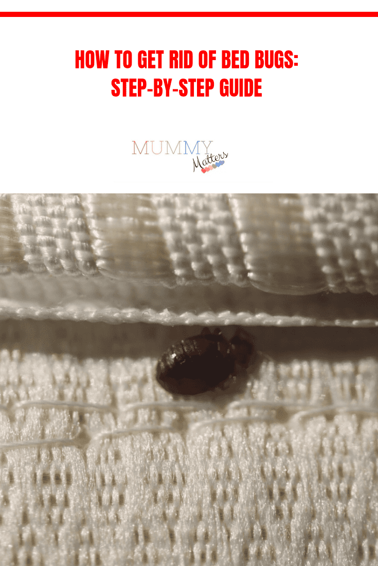 How to Get Rid of Bedbugs: Step-by-Step Guide 1