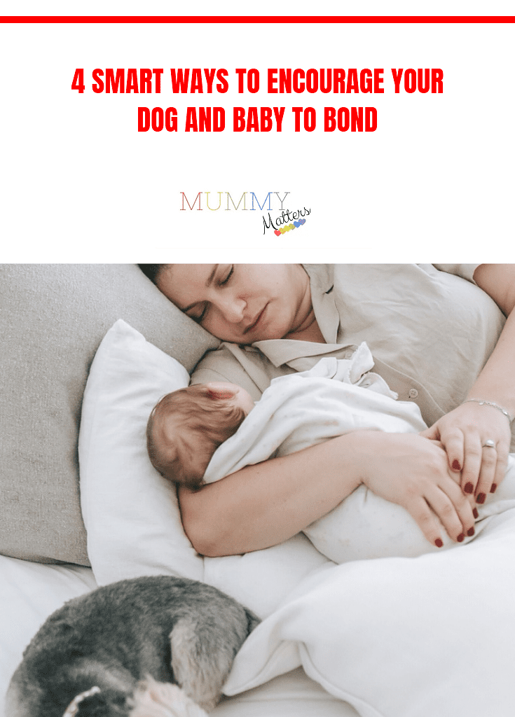 4 Smart Ways to Encourage Your Dog and Baby to Bond 5