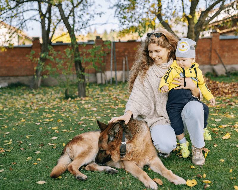 4 Smart Ways to Encourage Your Dog and Baby to Bond 4