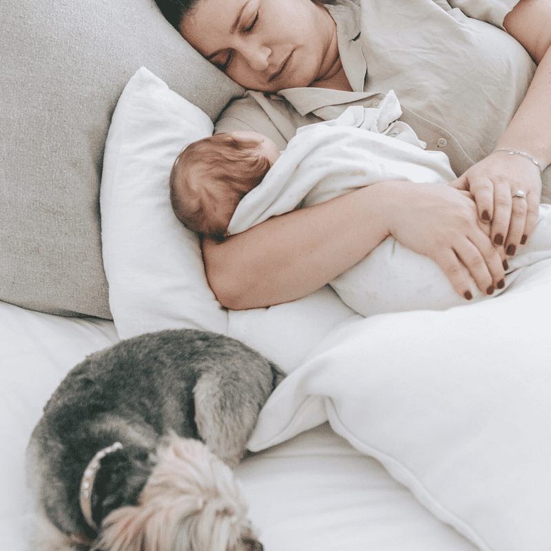 Encourage your dog and baby to bond