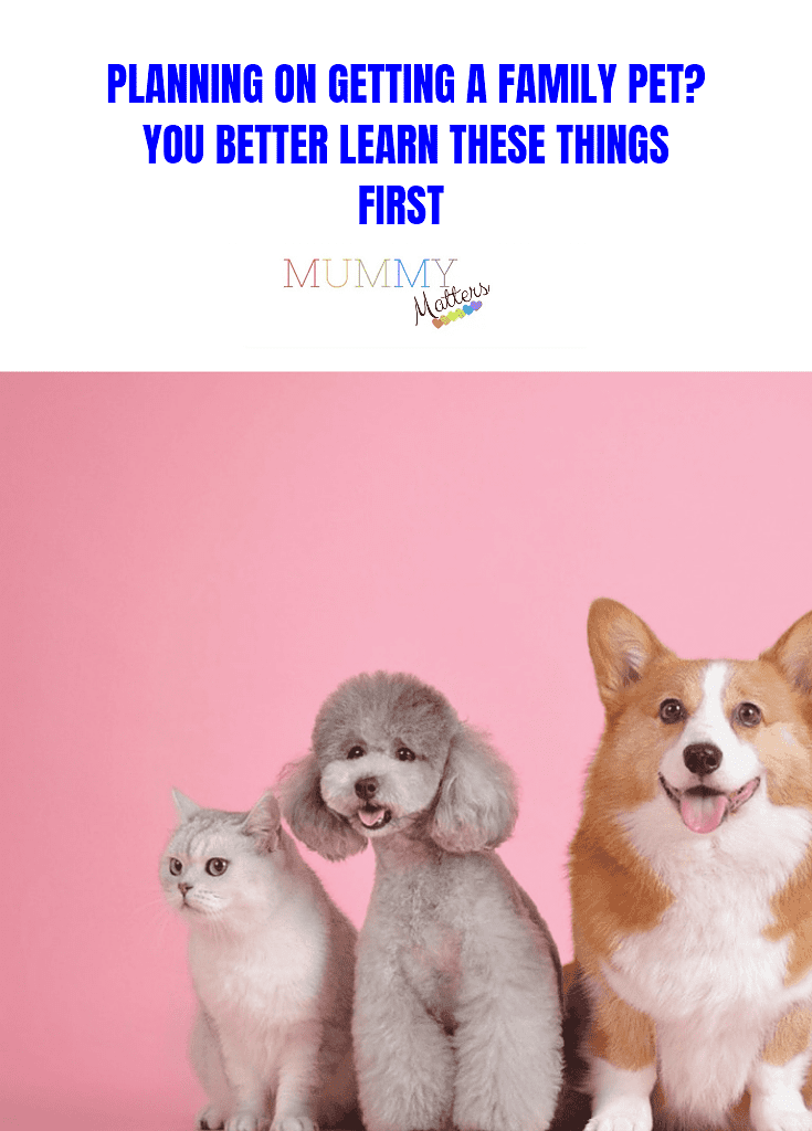 Planning On Getting A Family Pet? You Better Learn These Things First 3