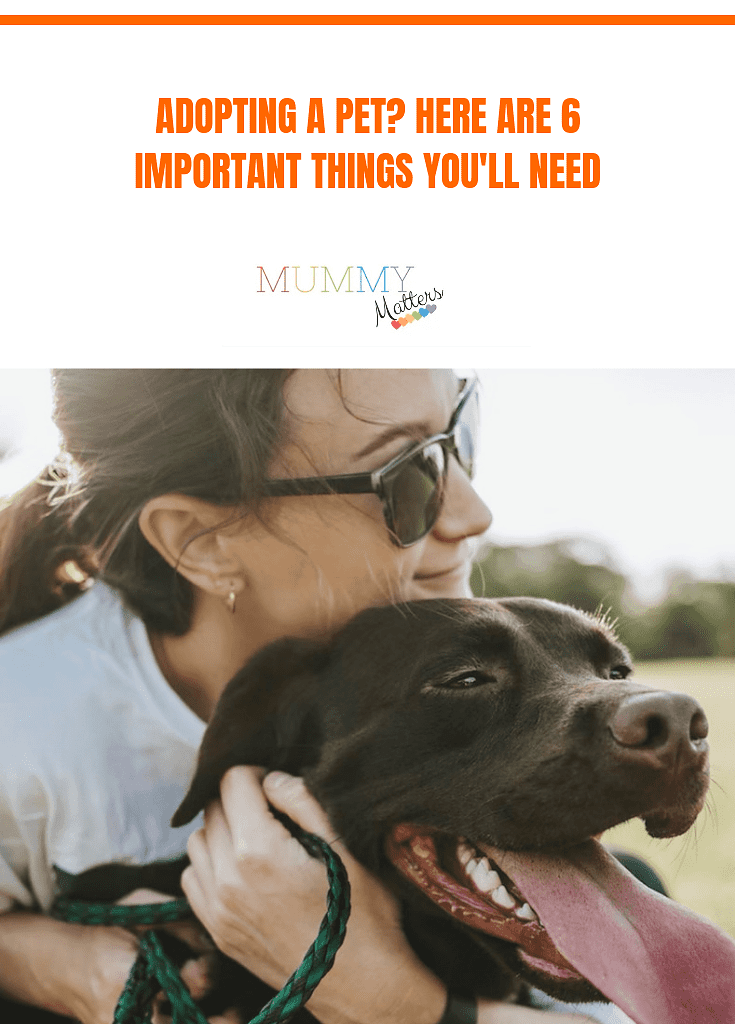 Adopting A Pet? Here Are 6 Important Things You'll Need 1