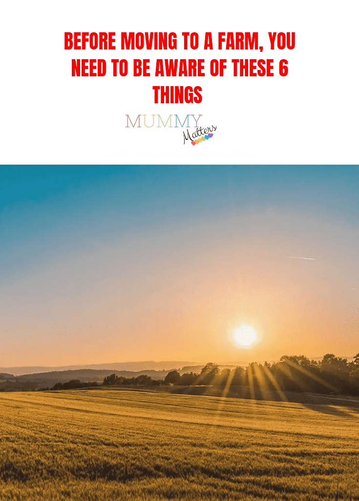 Before Moving To A Farm, You Need To Be Aware Of These 6 Things 1