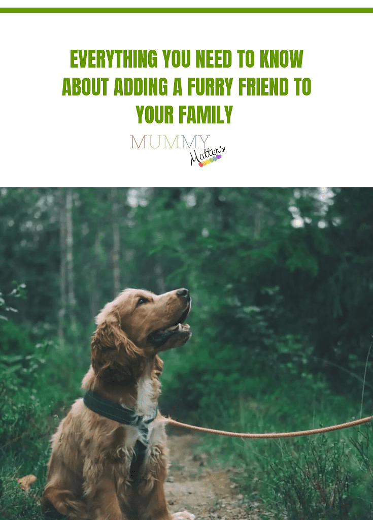 Everything You Need To Know About Adding A Furry Friend To Your Family 1