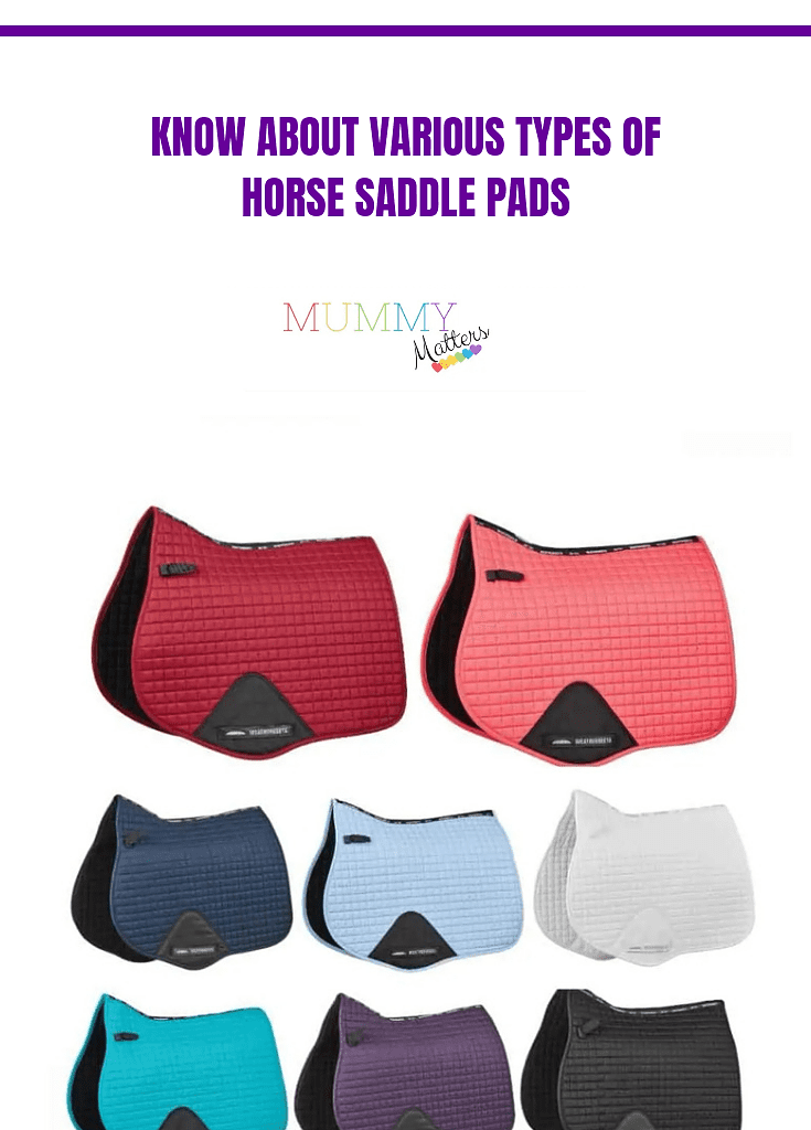 Know about Various Types of Horse Saddle Pads 1