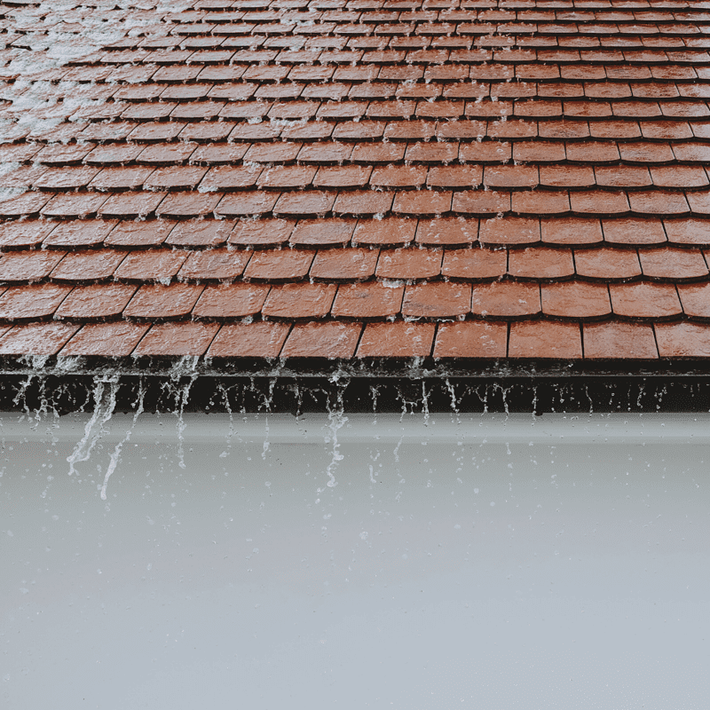 Taking Proper Care of Your Roof