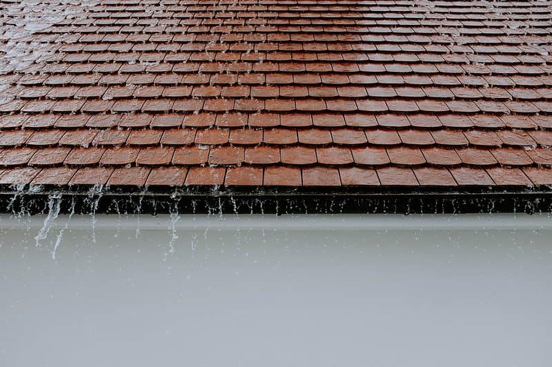 Taking Proper Care of Your Roof
