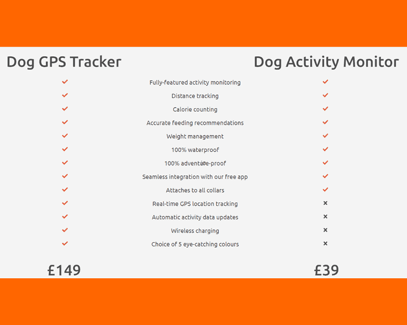 PitPat features