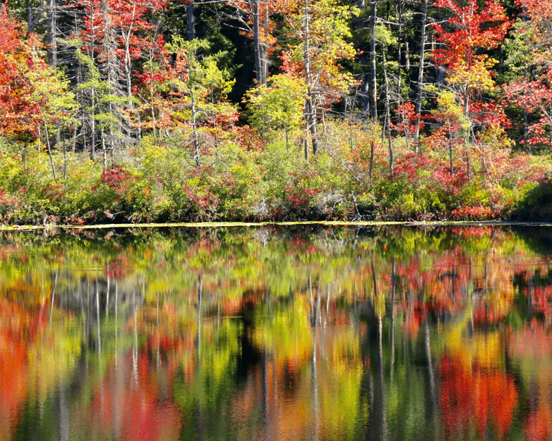 New England Fall Getaway