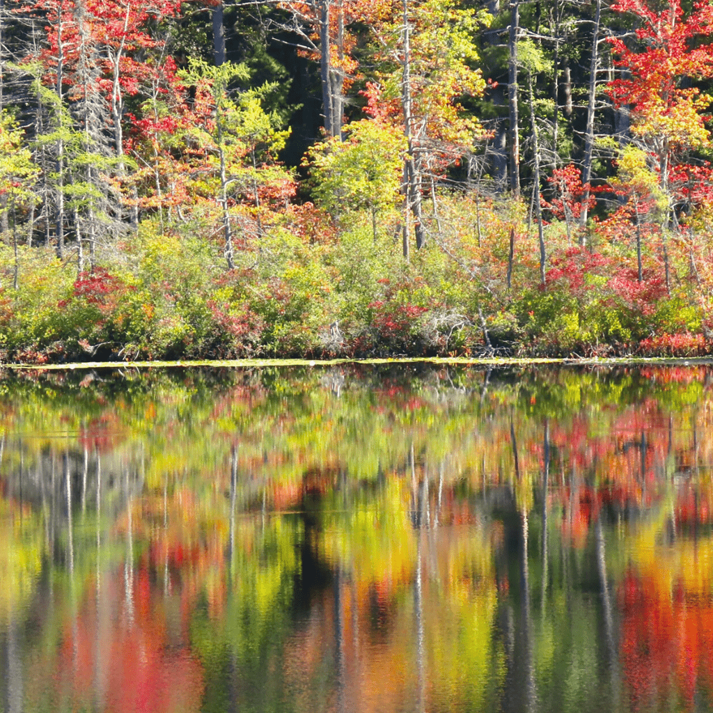 New England Fall Getaway