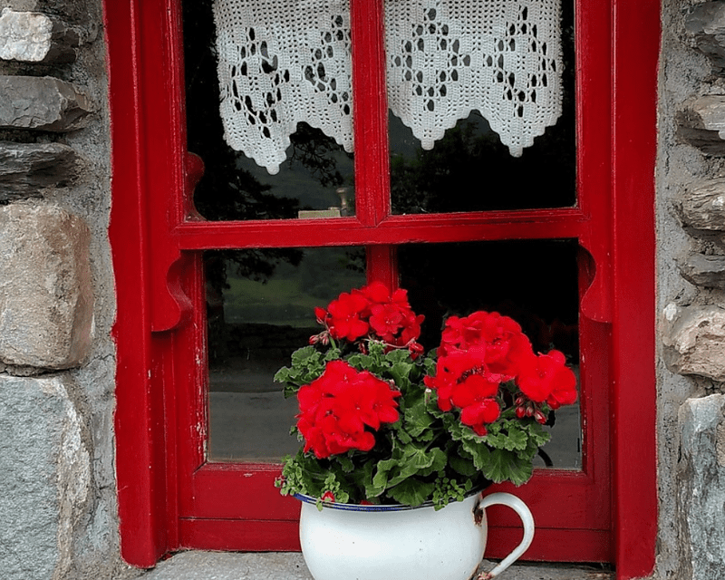 How do you repair old wooden sash windows