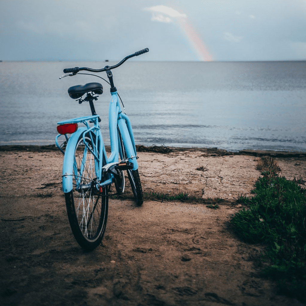 electric bike for beach