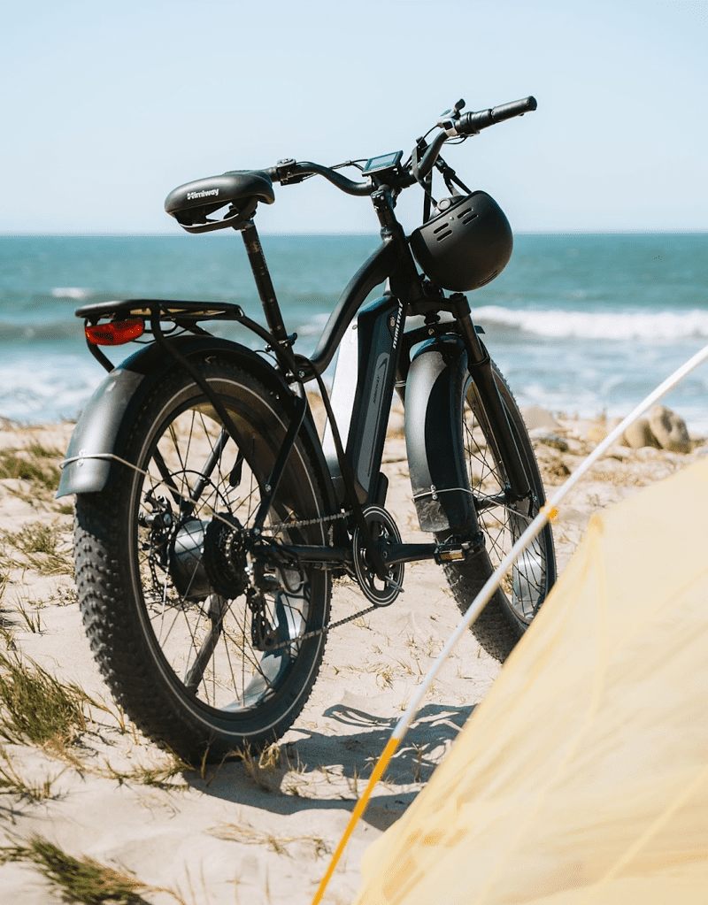 Beach Cruiser Bike