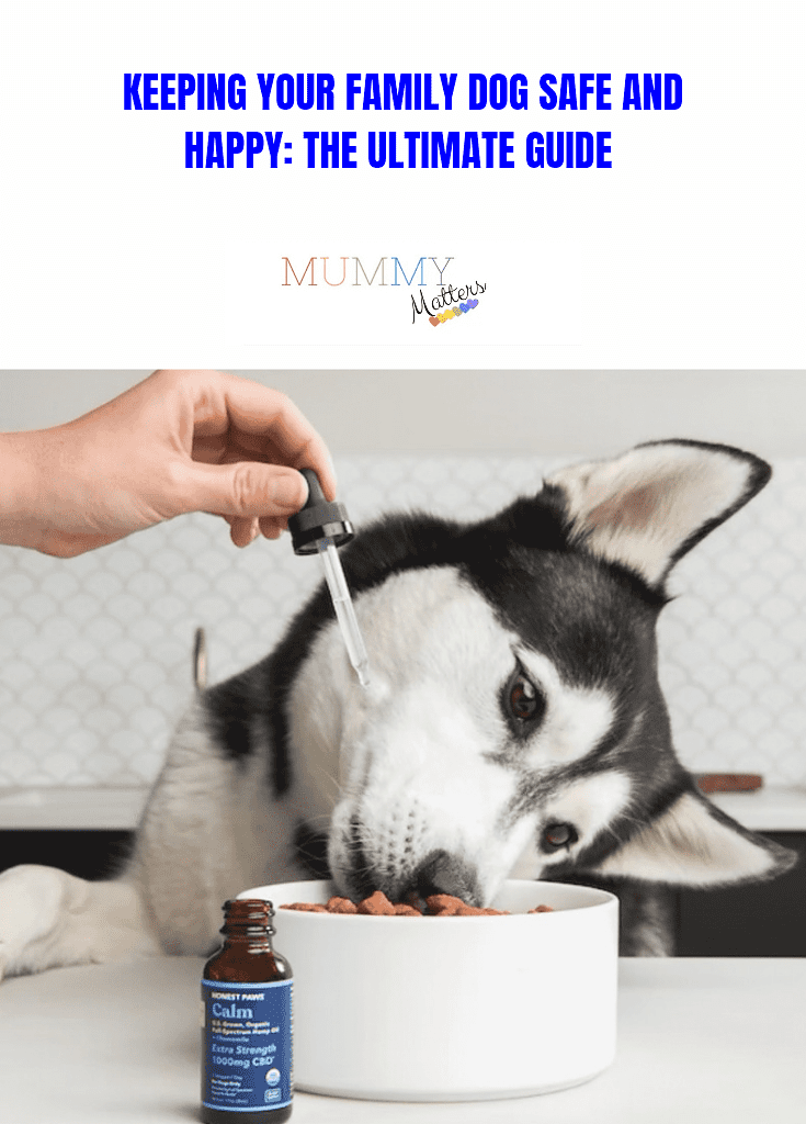 Keeping Your Family Dog Safe and Happy: The Ultimate Guide 1
