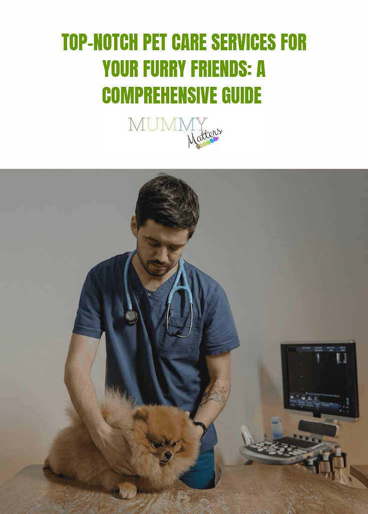 Top-Notch Pet Care Services For Your Furry Friends: A Comprehensive Guide 1