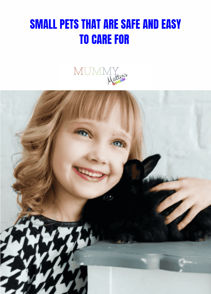 Small Pets that are Safe and Easy for Kids to Care for 1