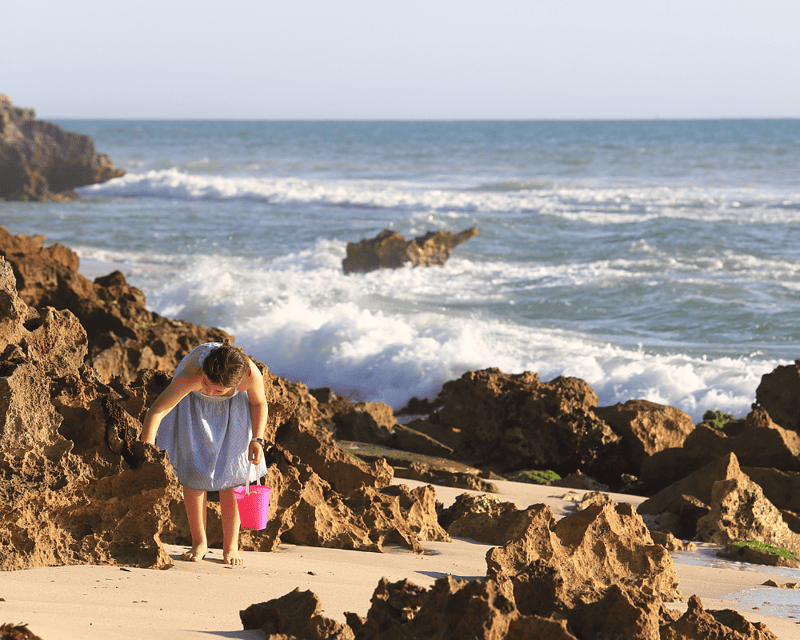 Beach treasure