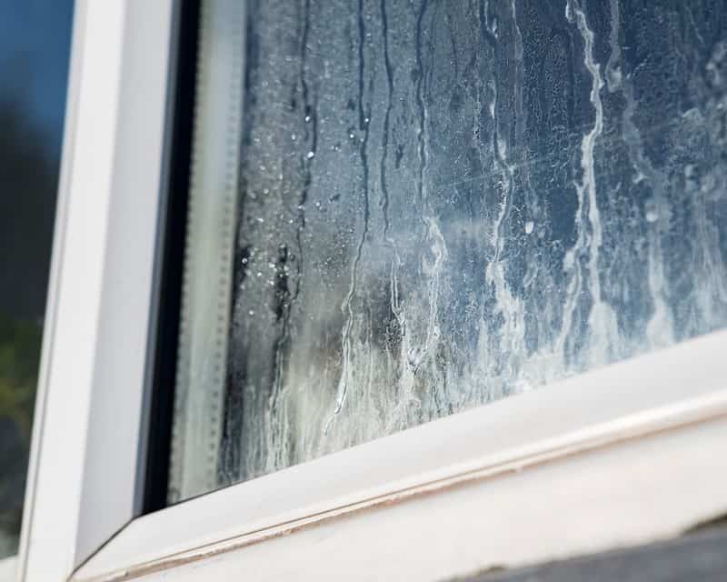 Signs You Need to Replace the Windows