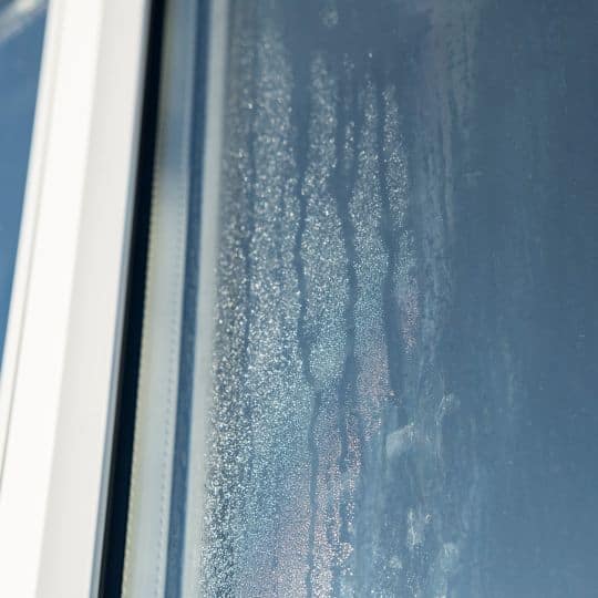 Signs You Need to Replace the Windows