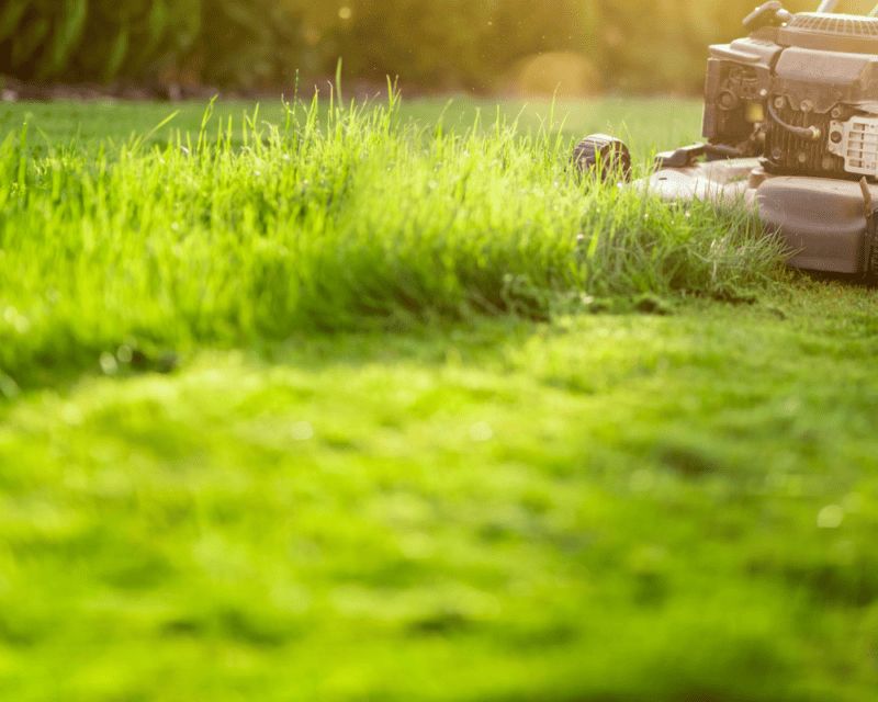 The Importance of Regular Lawn Mowing and How to Do It Right in Texas 1