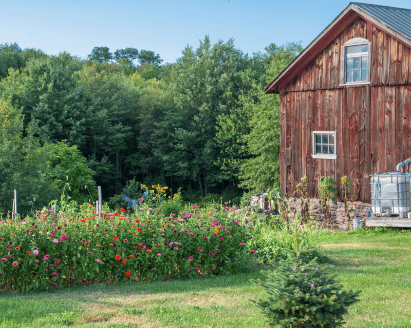 Launching Your Homestead