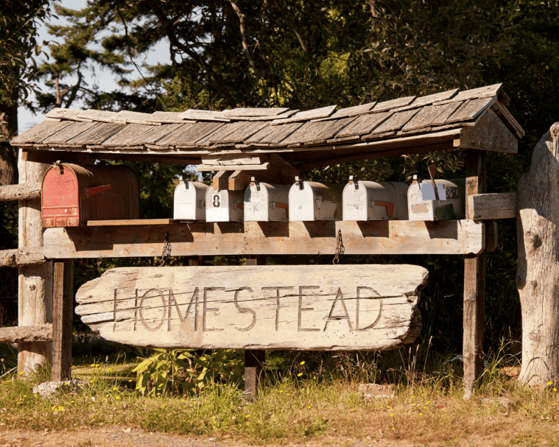 Homestead