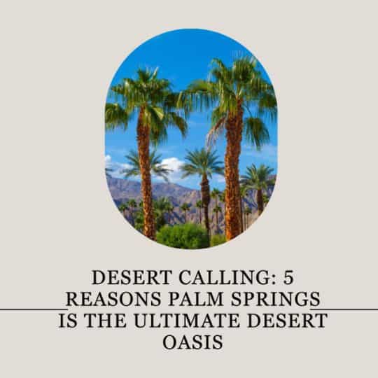 Ultimate desert oasis