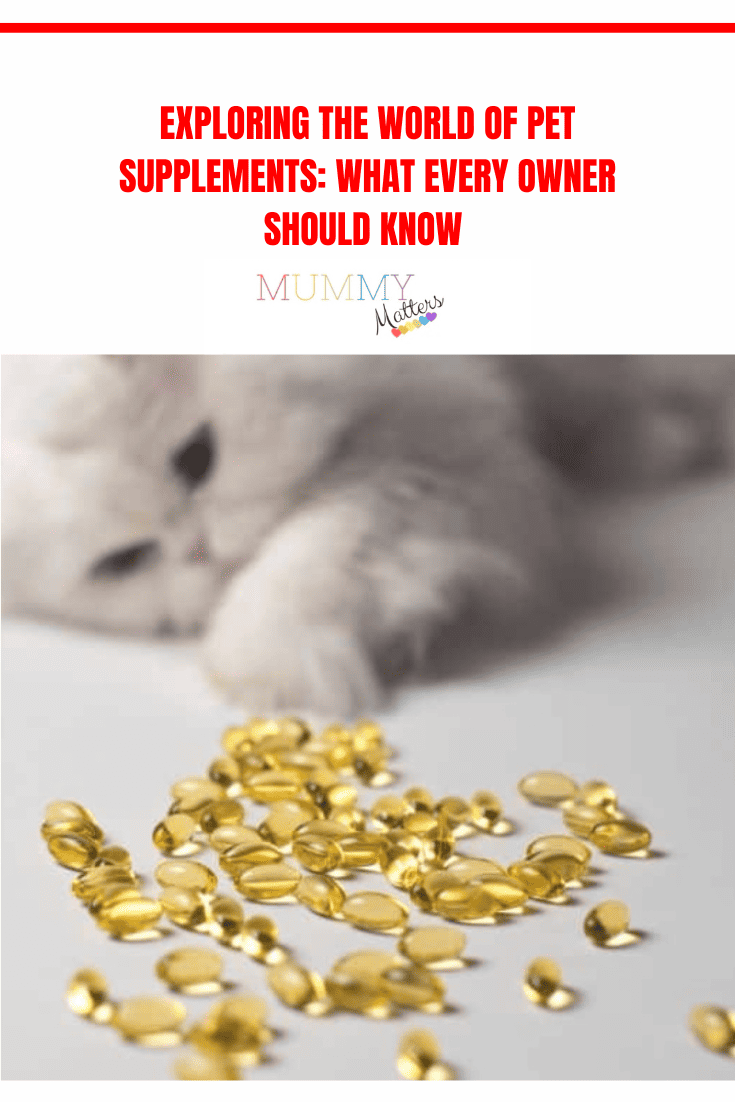 Exploring the World of Pet Supplements: What Every Pet Owner Should Know 1