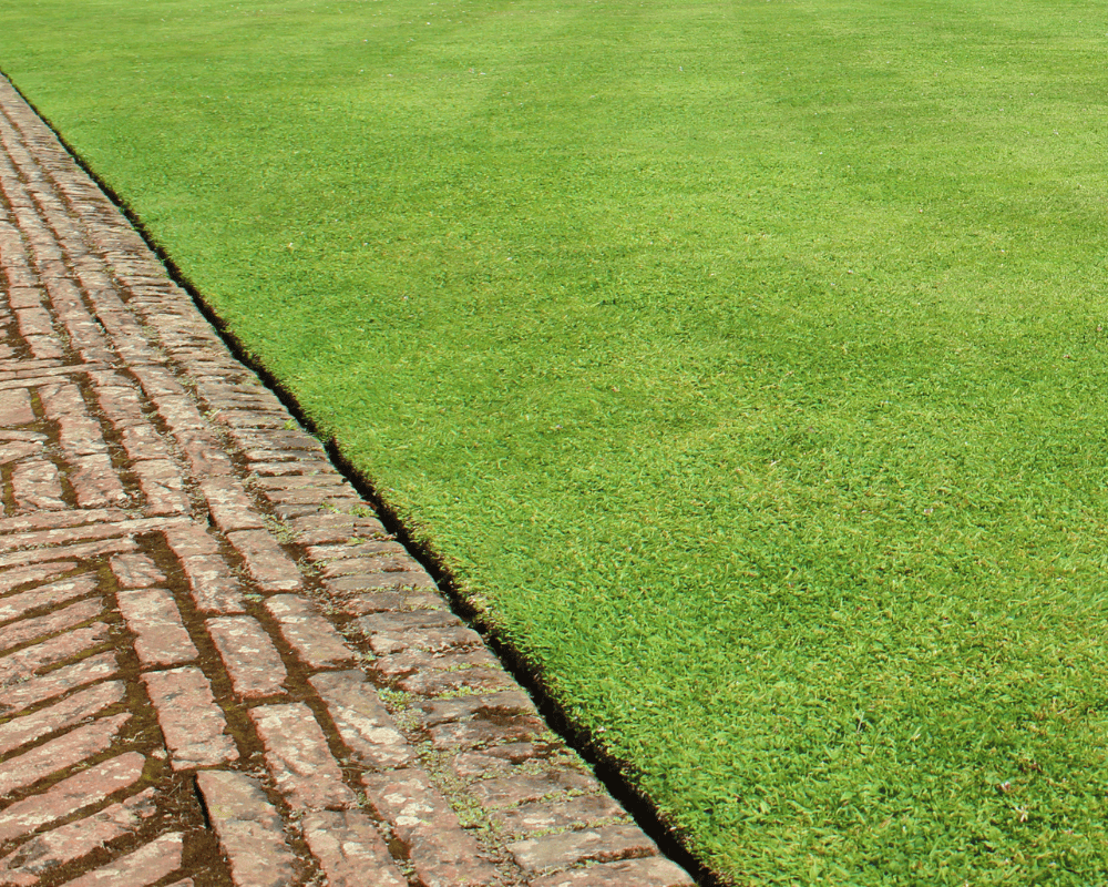 The Ultimate Guide to Lawn Edging Techniques - Mummy Matters: Parenting ...