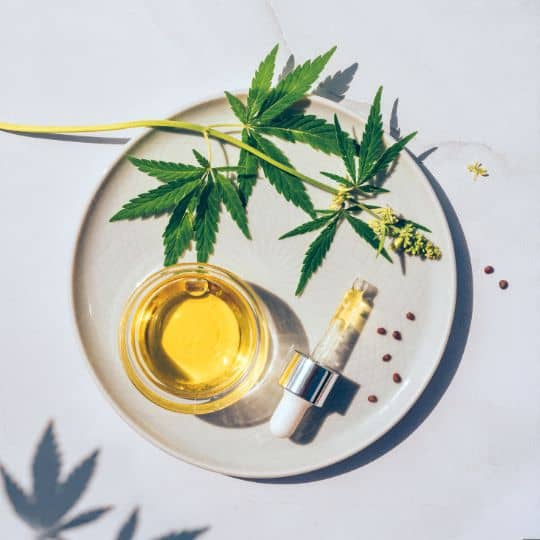 Choose the Right CBD Product