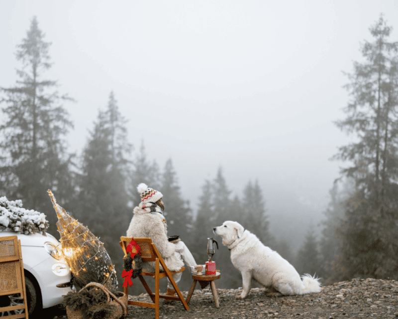 5 Relaxing Activities for You and Your Pup This Winter 2
