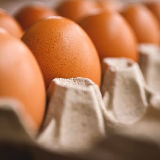 reliable egg supplier