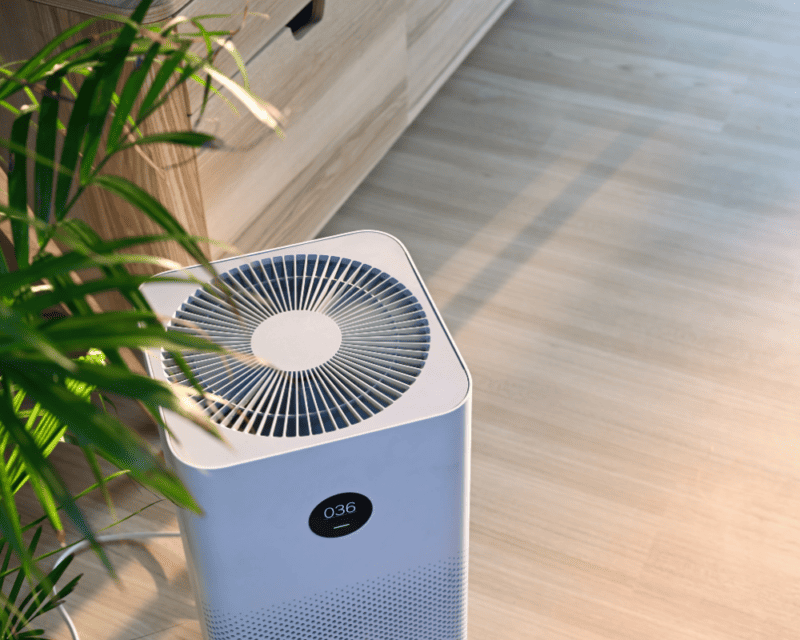 How To Choose The Best Air Purifier For Your Needs 2