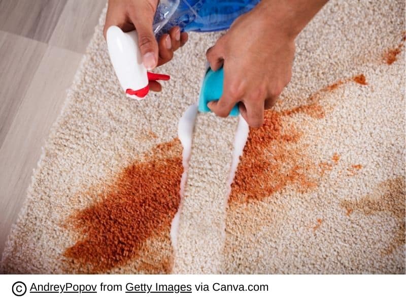 5 Simple Tips for Caring for Your Carpet 4