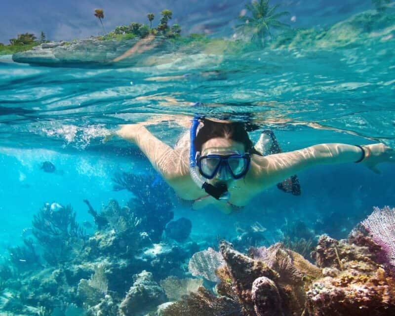 Snorkelling tours