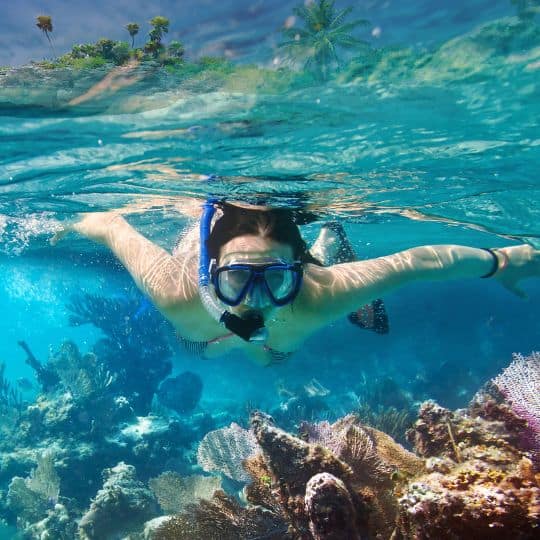Snorkelling tours