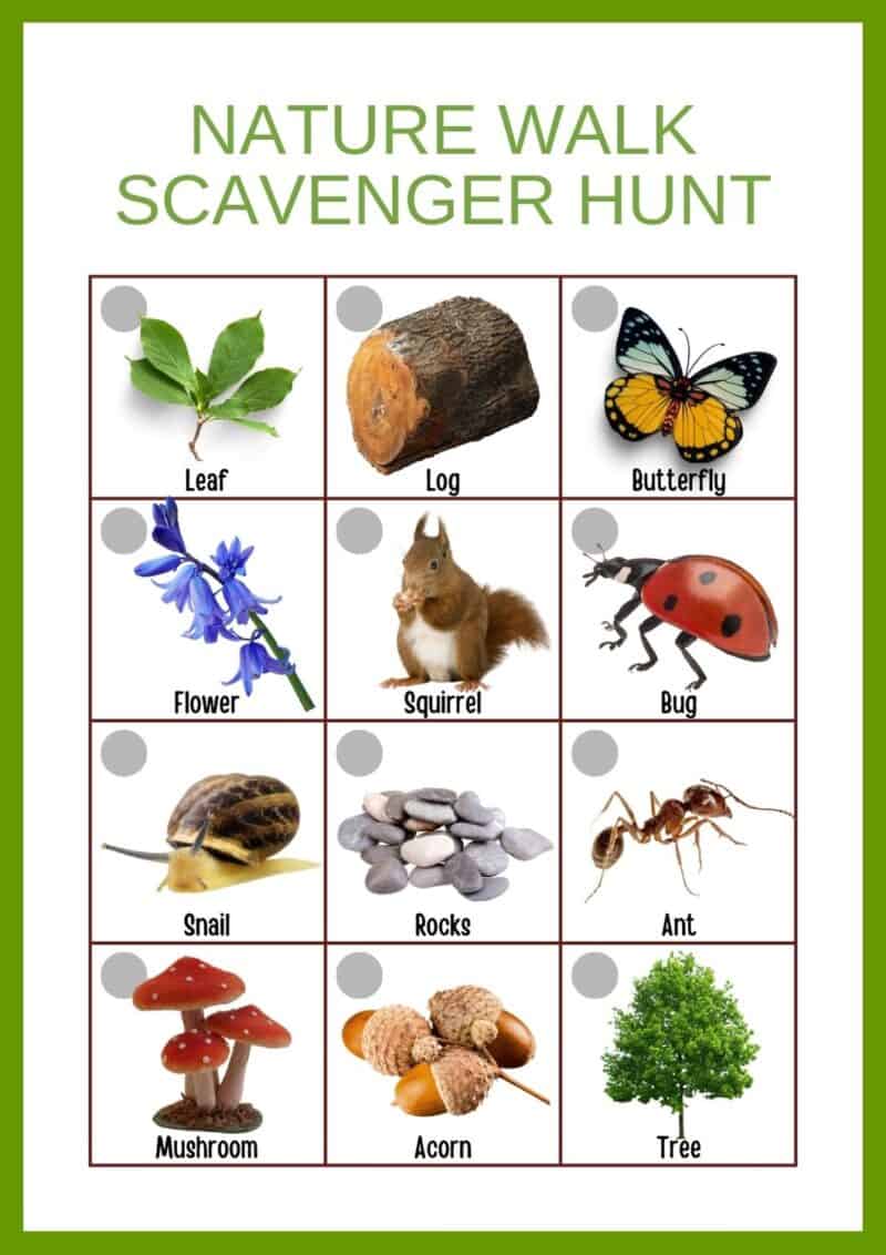 Exploring Nature with Kids: Spring Edition Guide plus free Nature Walk Scavenger Hunt Printable 2