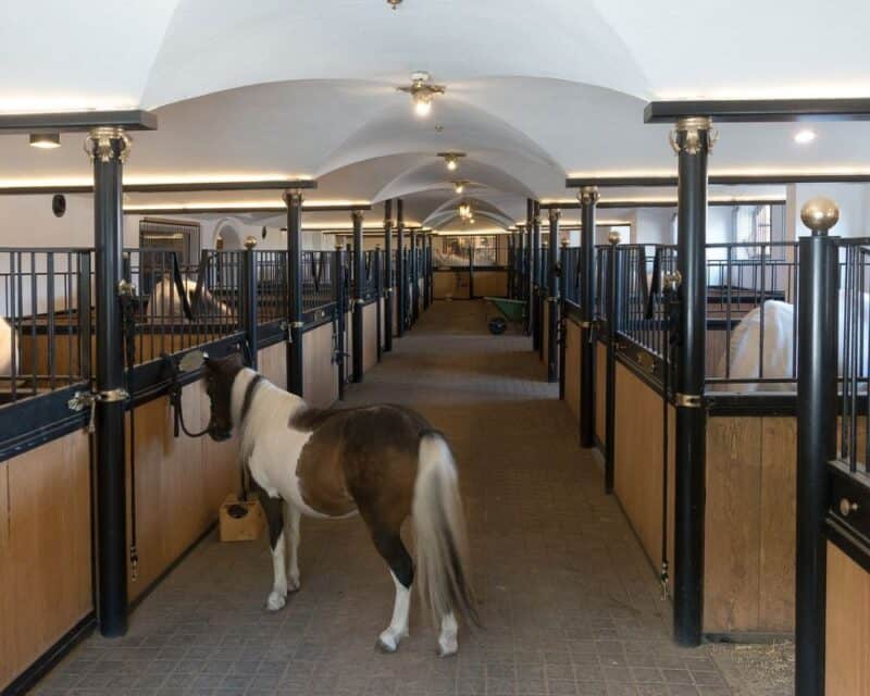 Equestrian Sheds