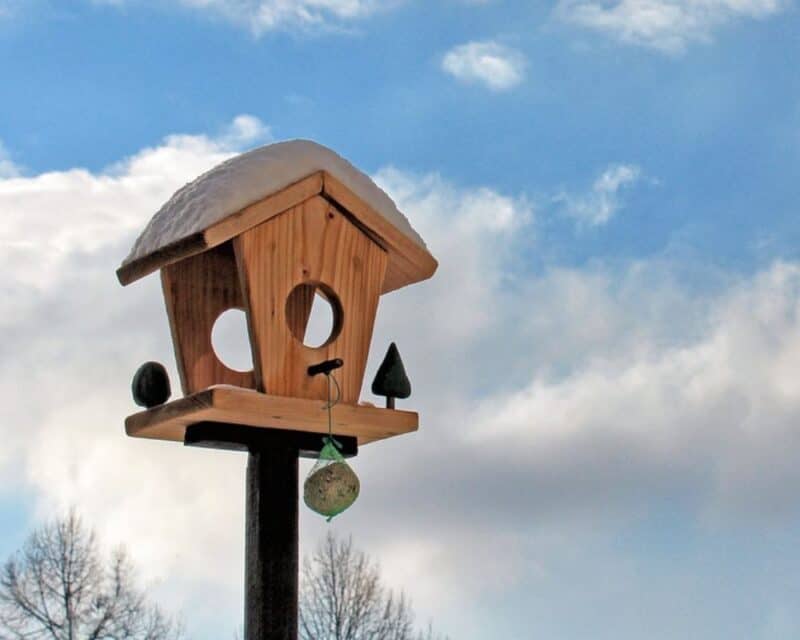 a bird house with snow on top