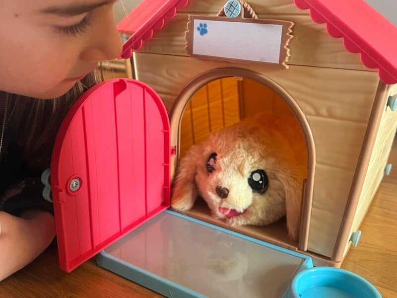 a girl looking at a toy dog house