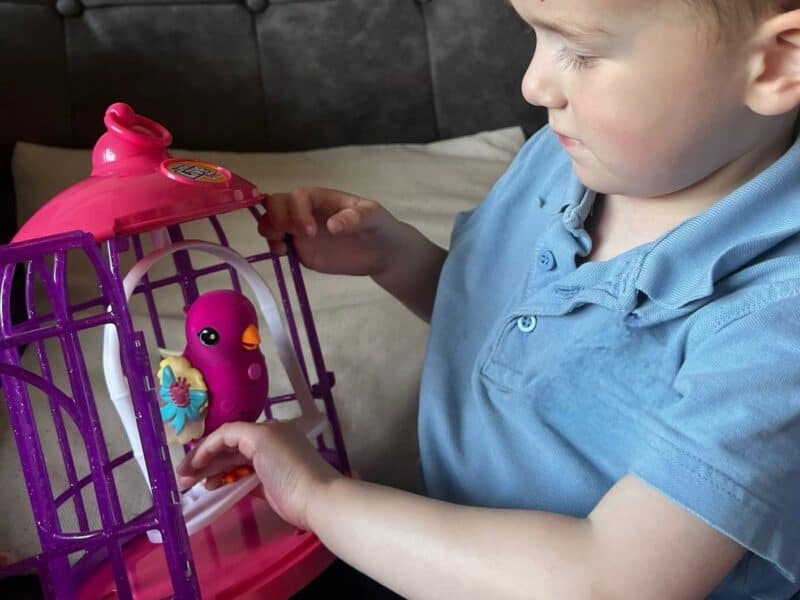 a child playing with a toy bird