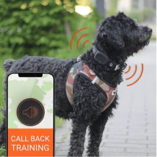 GPS trackers for dogs