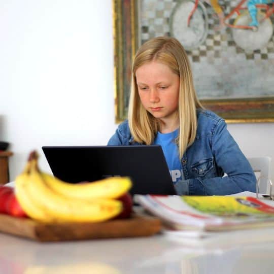 How Online Tutoring Can Reduce Homework Stress 1