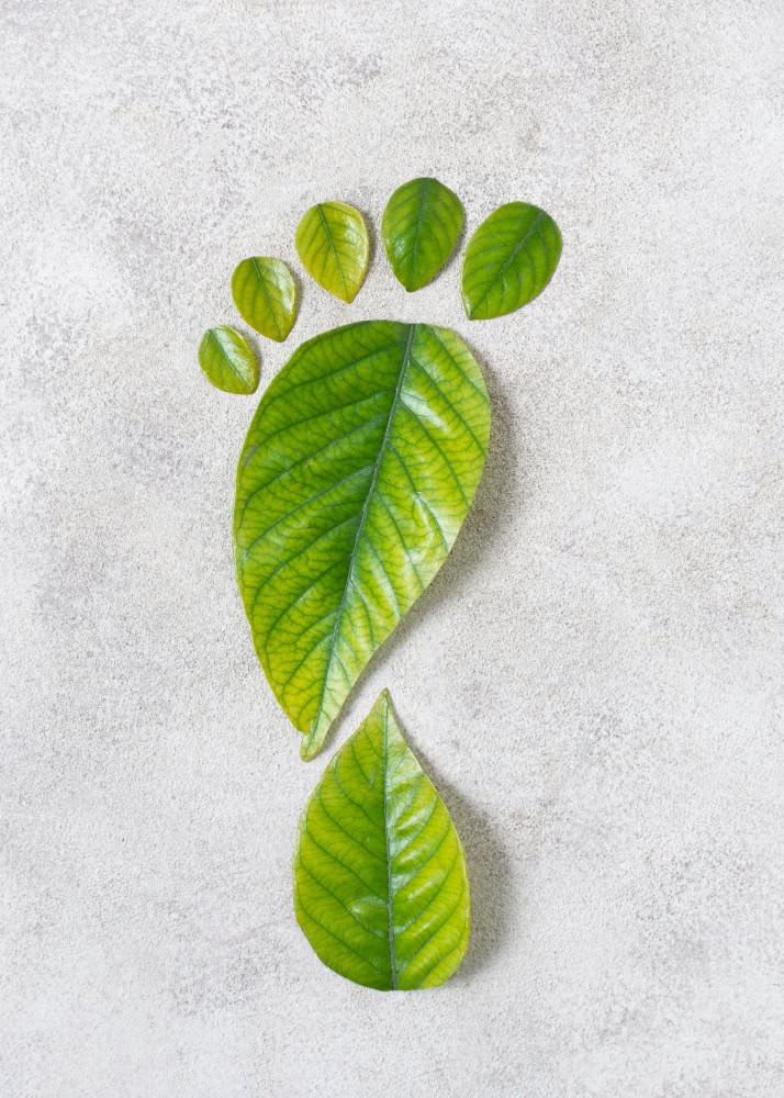 a green leaf footprint made out of leaves