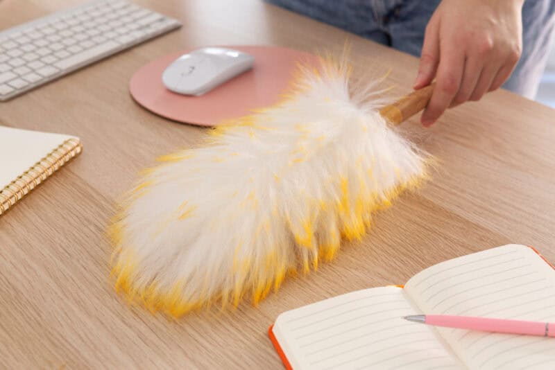 a hand holding a feather duster